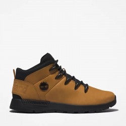 CHAUSSURES SNEAKERS TIMBERLAND